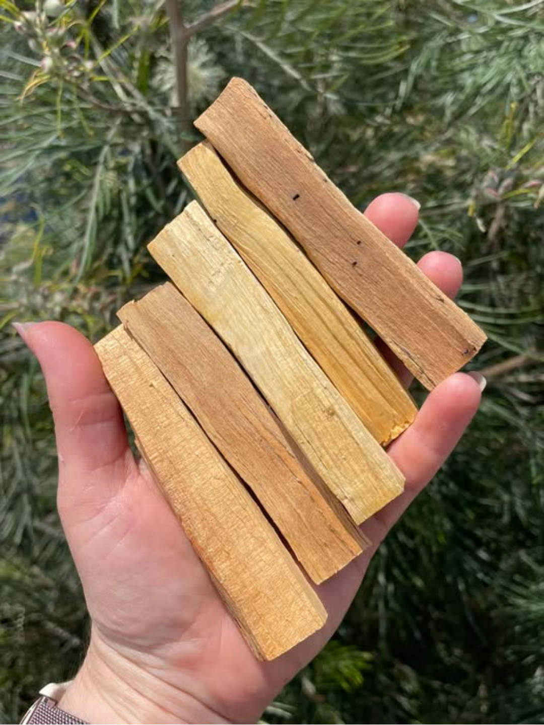 Palo Santo Stick