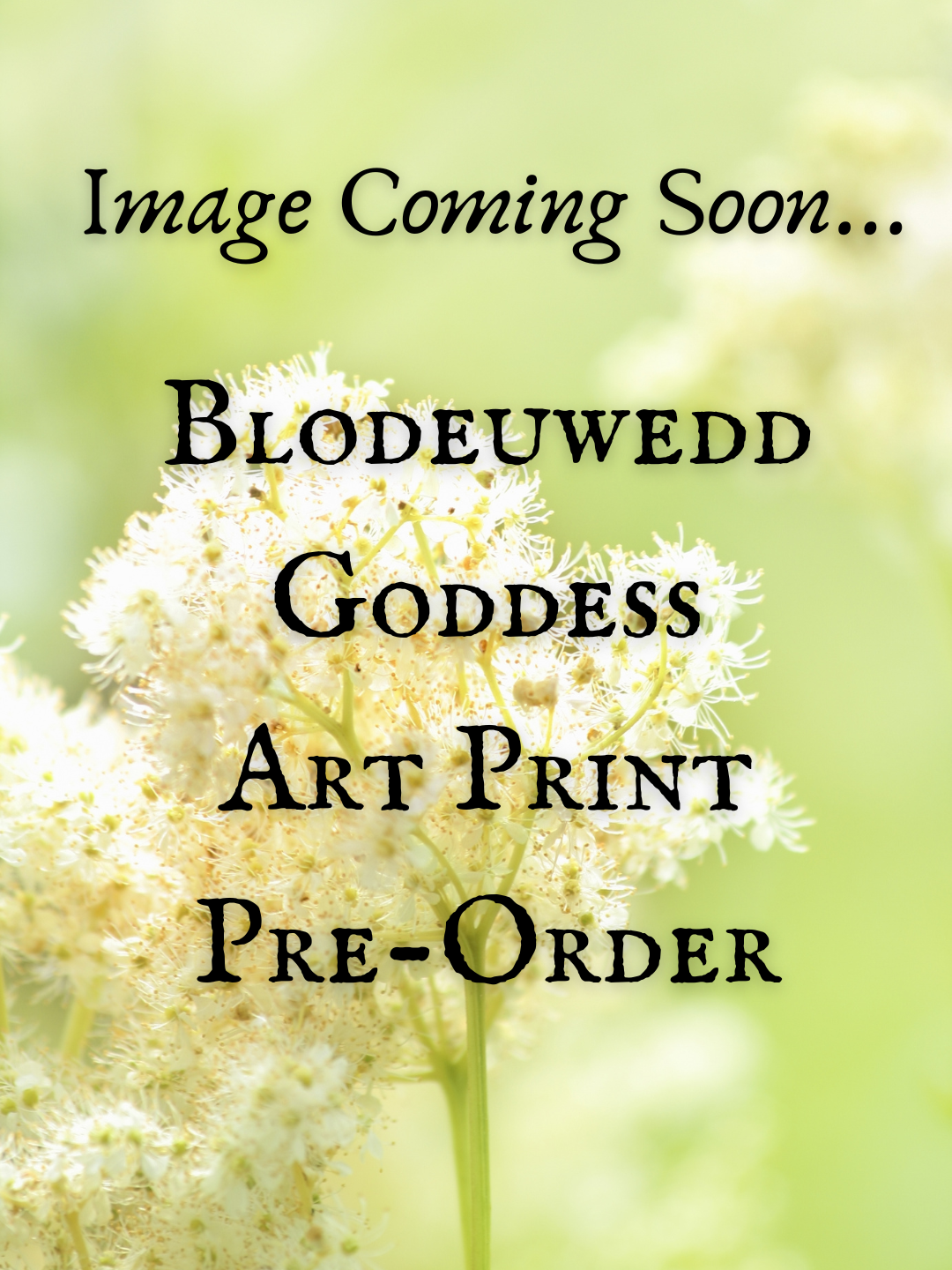 Blodeuwedd Ostara Ritual Collection