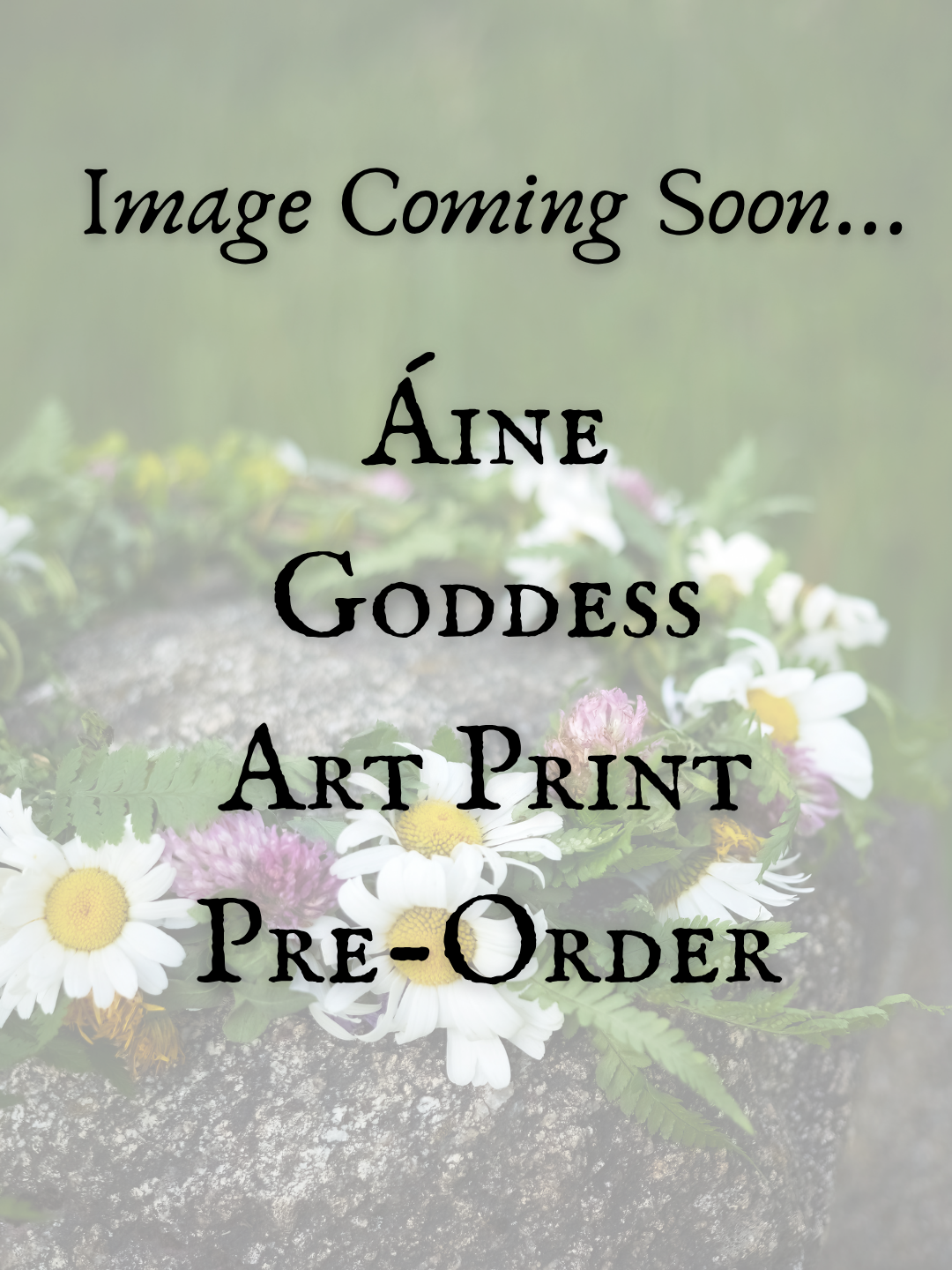 Aine Beltane Ritual Collection