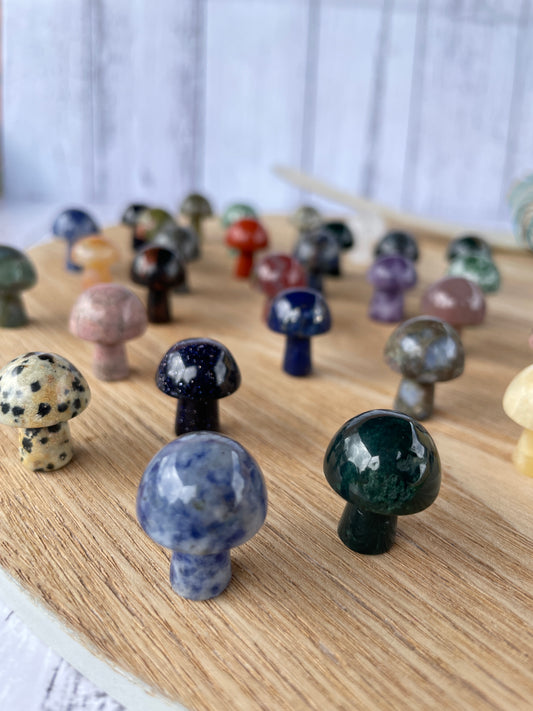 Mini Crystal Mushrooms